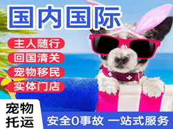嫩江墨尔根航空快运国际宠物托运 【国